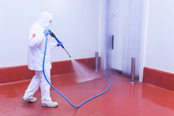 Paint Preparation in Reynoldsburg, OH